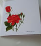 HAND PAINTED WATER COLOUR CARD WITH ROSES
