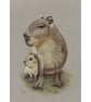 Capybara Fine Art Print - Image 3
