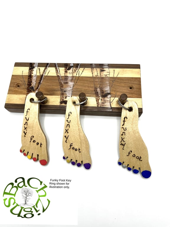 Three Key Holder on 3 coloured woods – SKU-KH1