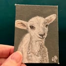 Little lamb original painting