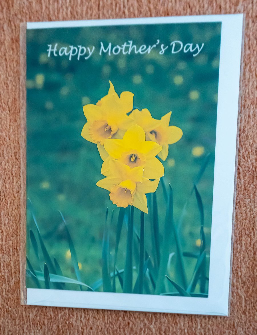 Daffodils Mother's Day Card 