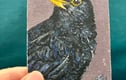Paintings 