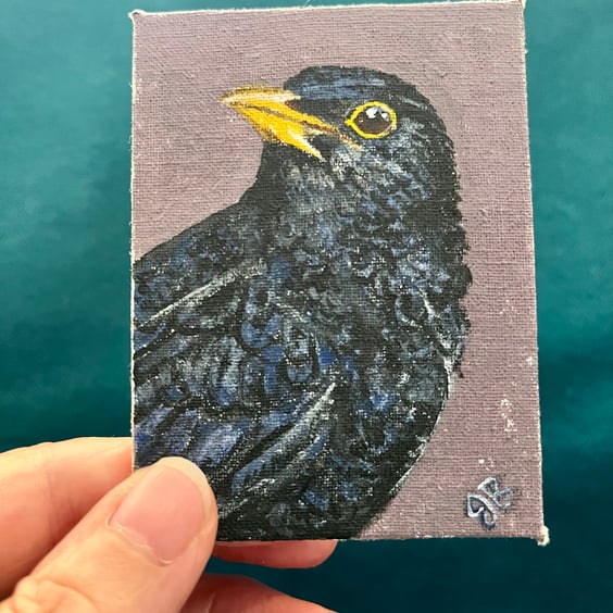 ACEO blackbird original miniature painting 