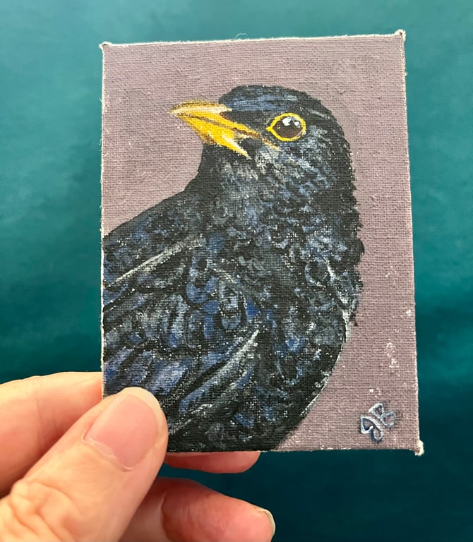ACEO blackbird original miniature painting 