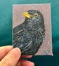ACEO blackbird original miniature painting  - Image 1
