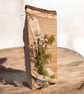 Handcrafted Red Oak Coastal Wooden Display Plaque with Sea Shells & Driftwood  - Image 3