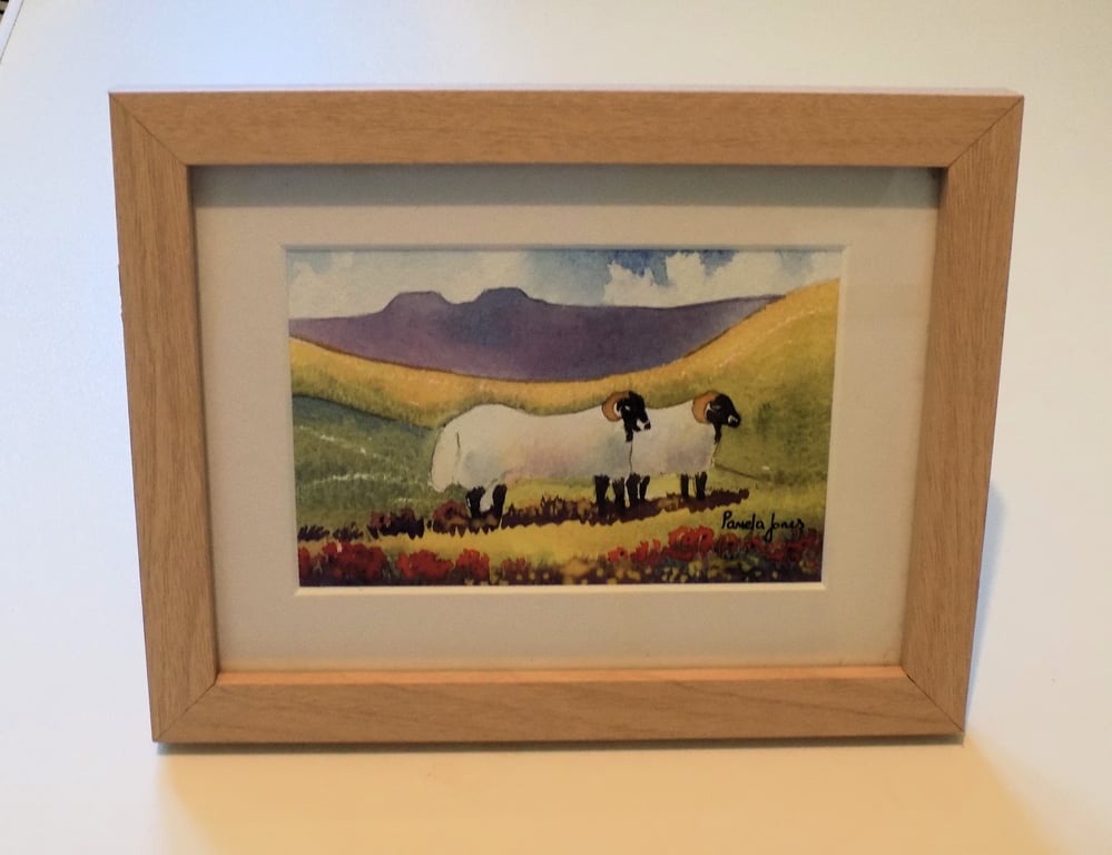 Brecon Beacons Sheep. South Wales, Original Watercolour, in 8 x 6 '' Frame