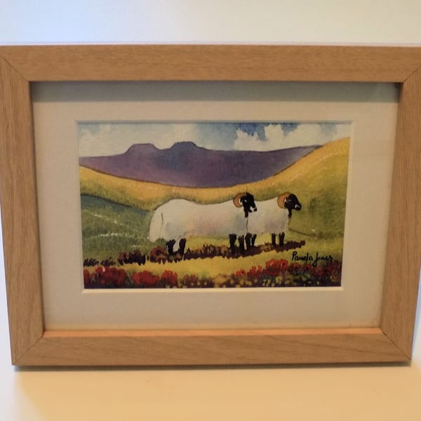 Brecon Beacons Sheep. South Wales, Original Watercolour, in 8 x 6 '' Frame