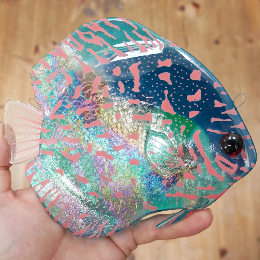 Fused Glass Discus Fish Art - Wall Hanging or Suncatcher