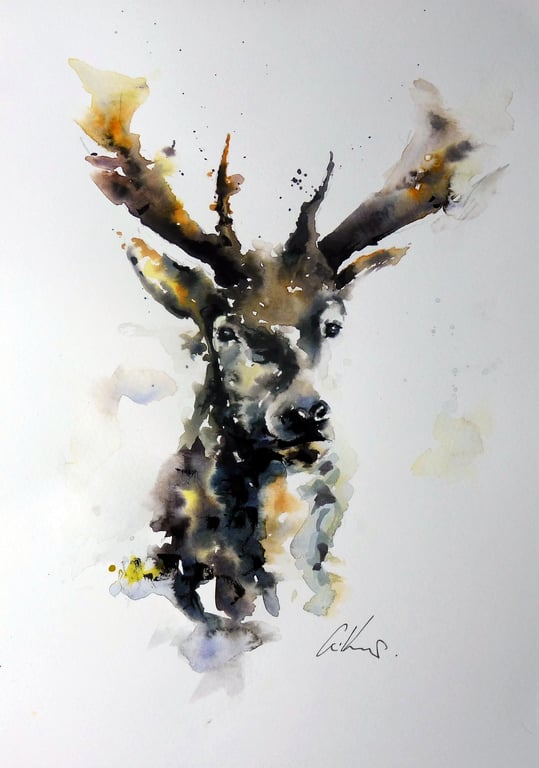 Stag, Professional Giclée Print.