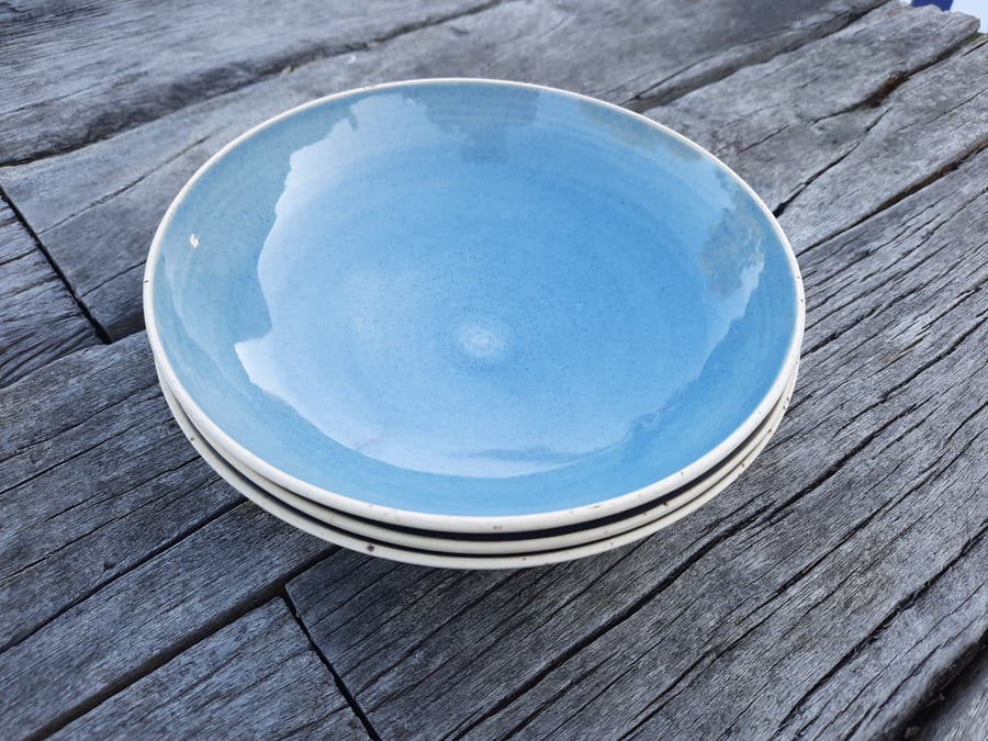 Blue and Cream Ceramic Pasta Bowls