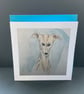 Whippet Dog 