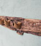 Blitz Timber 10 - Image 2