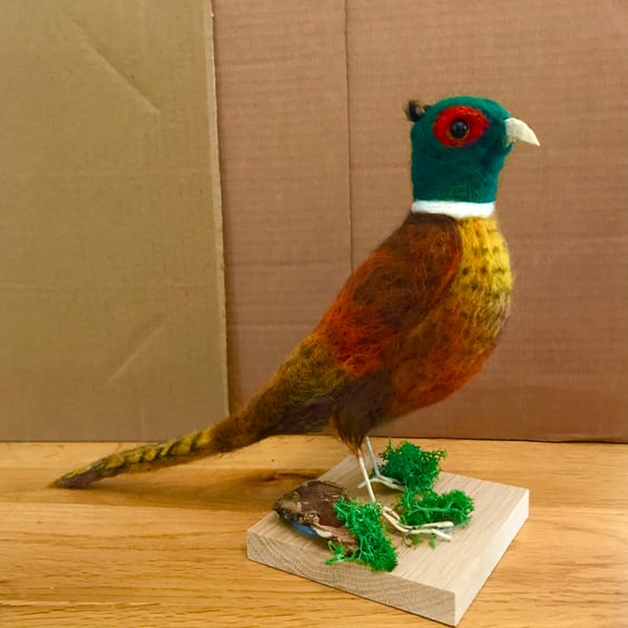 Pheasant-needle felted-bird-soft sculpture -game bird -countryside art