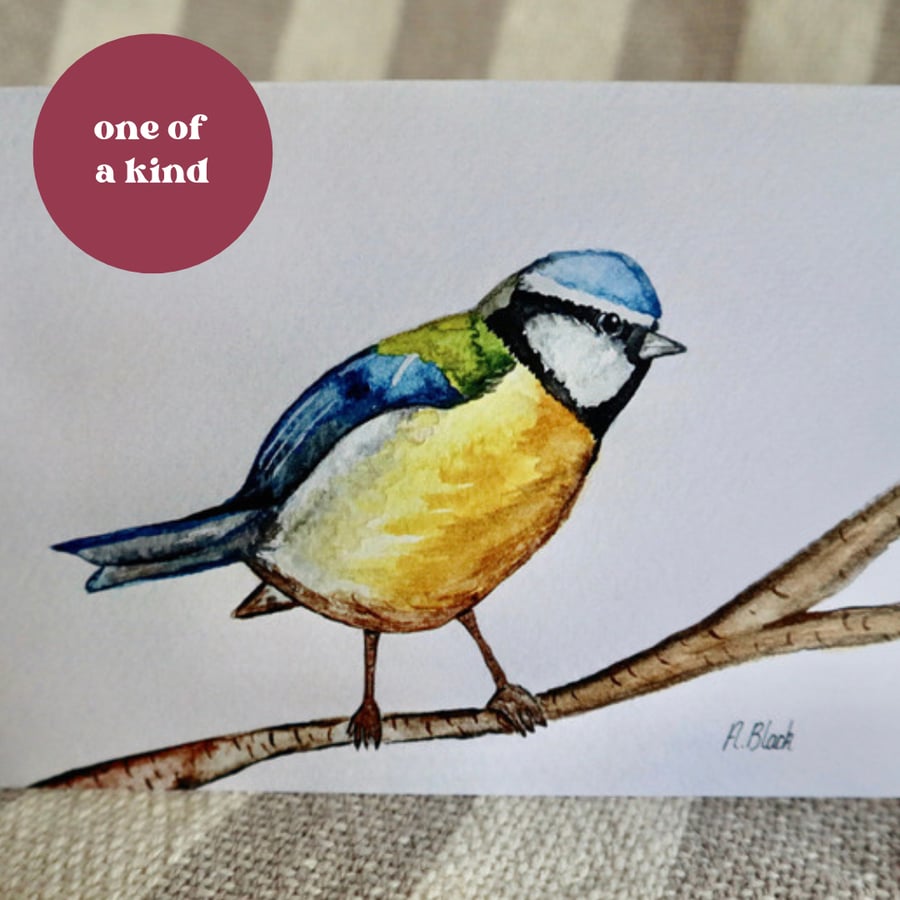 Bluetit Paintings - Prints