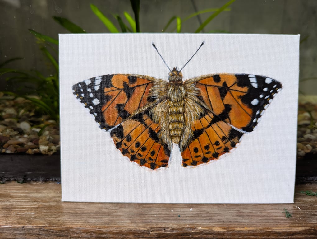 Original Painted Lady Butterfly Acrylic Painting 