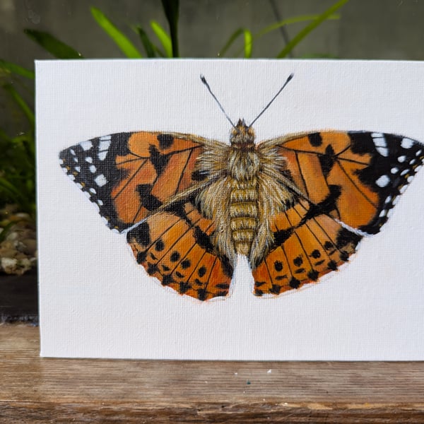 Original Painted Lady Butterfly Acrylic Painting 