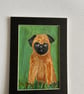 Pug portrait. Acrylics 5x7" original 