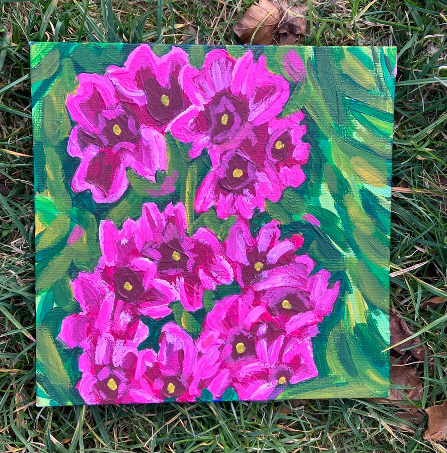 Primula flower original acrylic  painting 