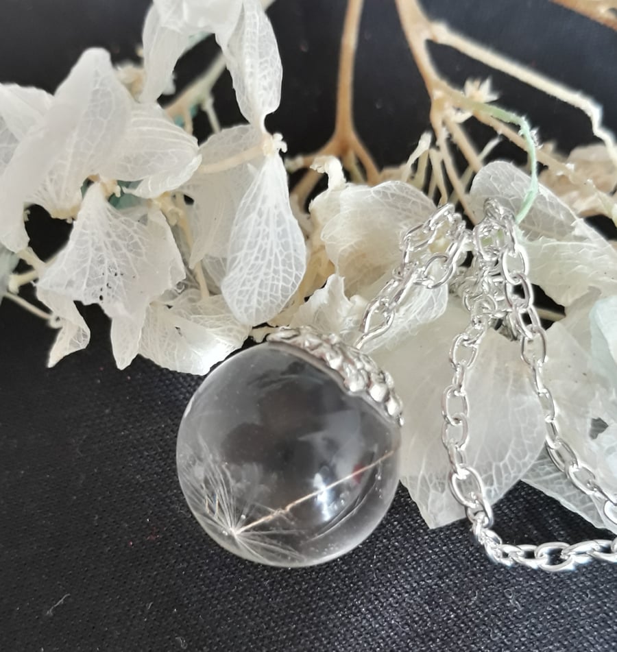 R14. Resin globe pendant with real dandelion seed