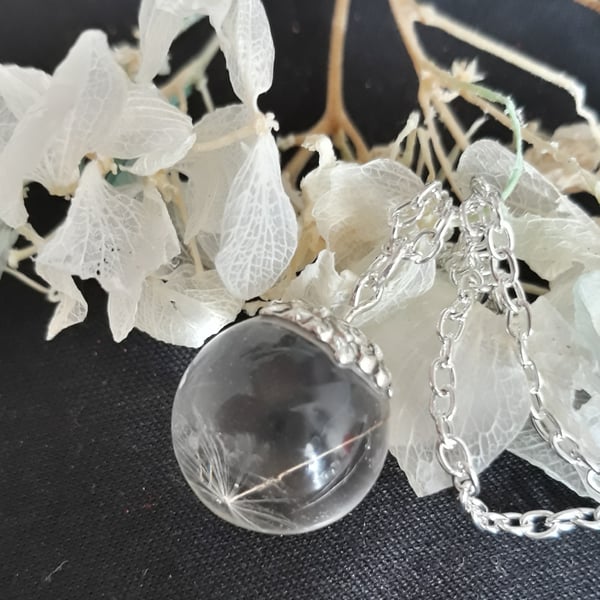 R14. Resin globe pendant with real dandelion seed