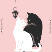 Cat Lantern Studio