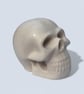 White Skull - Macabre Halloween Decoration Suitable for Painting - Image 8