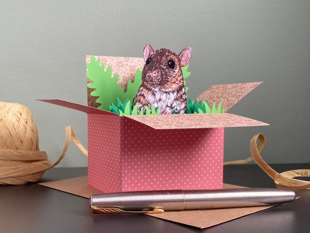 Rat Birthday Card. Personalised or Blank Gift Card Holder. 3D Box Card.
