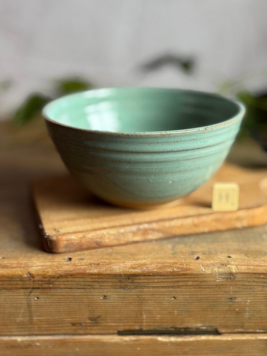Pottery Noodle Bowl