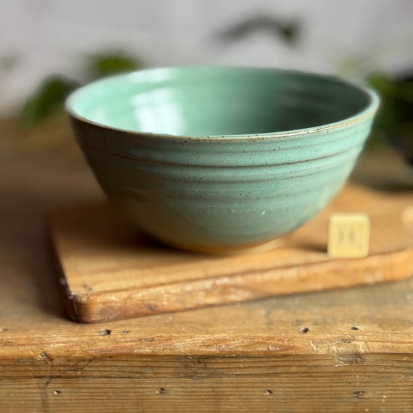 Pottery Noodle Bowl