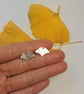 Gingko Leaf Earrings, Silver Studs - Image 2