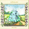 Wild Flowers Dress for Baby Daisy 