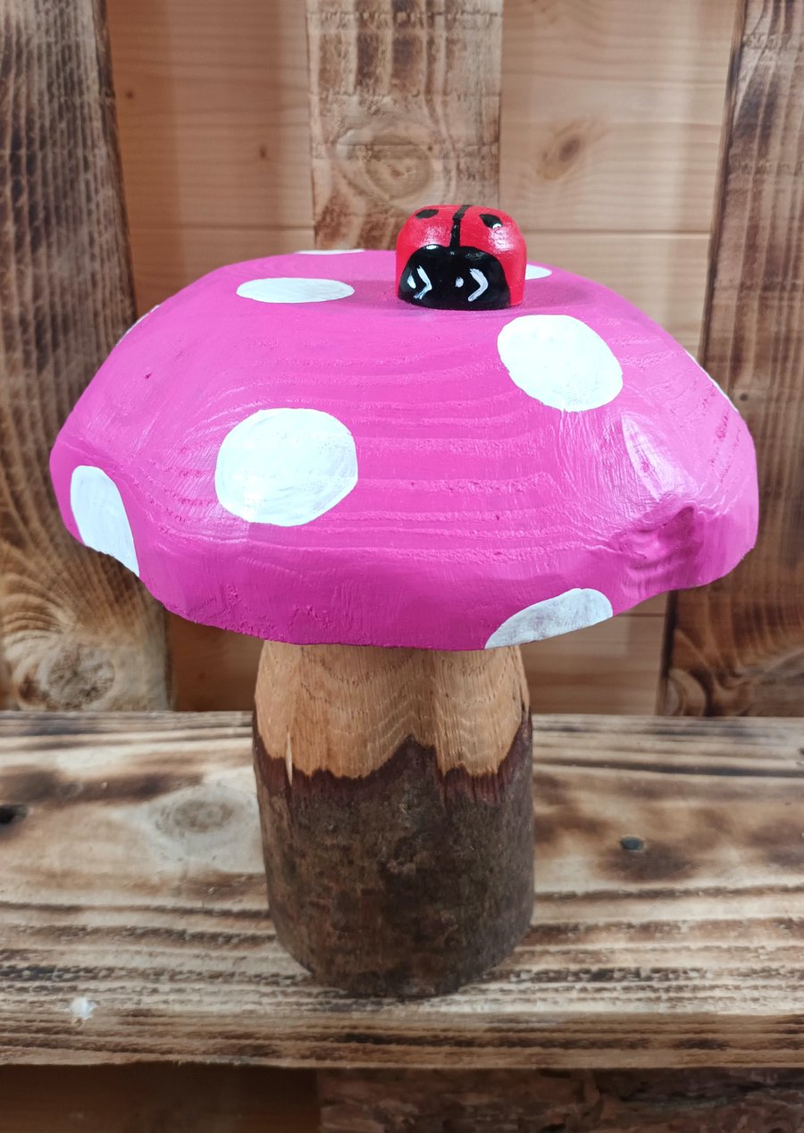 Ladybird on Pink Toadstool