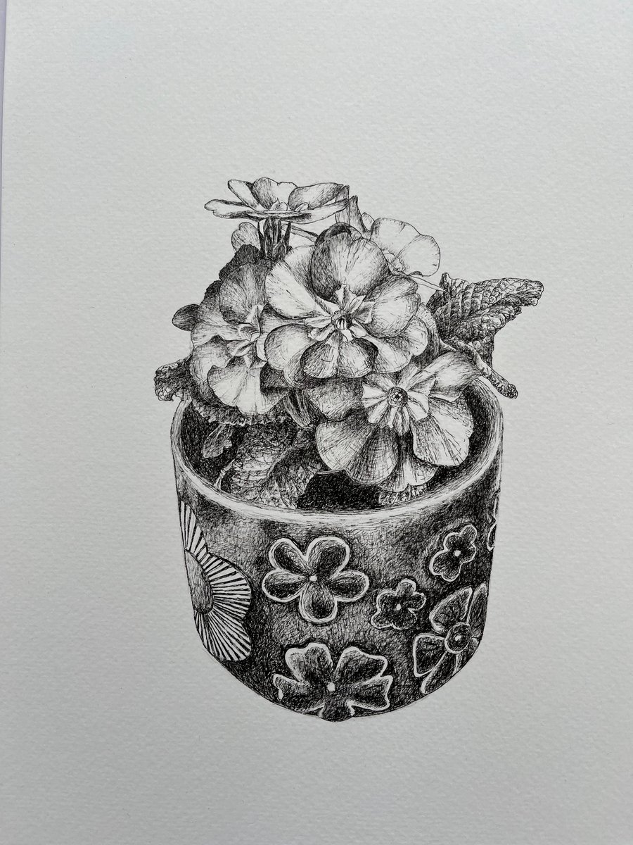 Potted plant original black ink drawing 