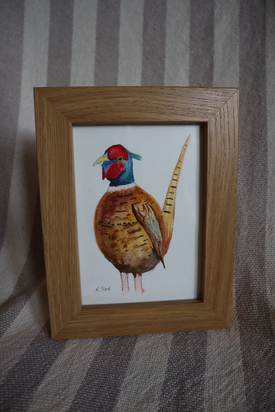 Pheasant painting - Framed