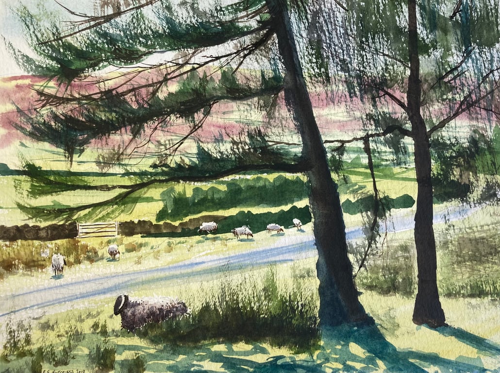 Commondale sheep (Pure Original Watercolour)