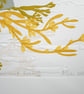 Cormorant Fishing Lino Reduction Limited Edition And Hand Embossed Print - Image 6