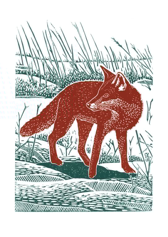 Fox In The Snow A3  poster-print