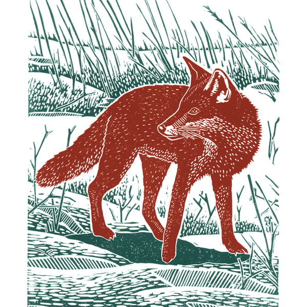 Fox In The Snow A3  poster-print