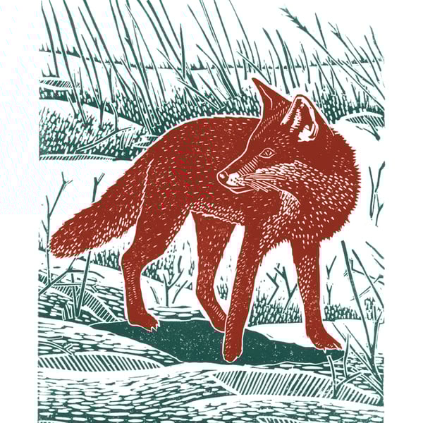 Fox In The Snow A3  poster-print