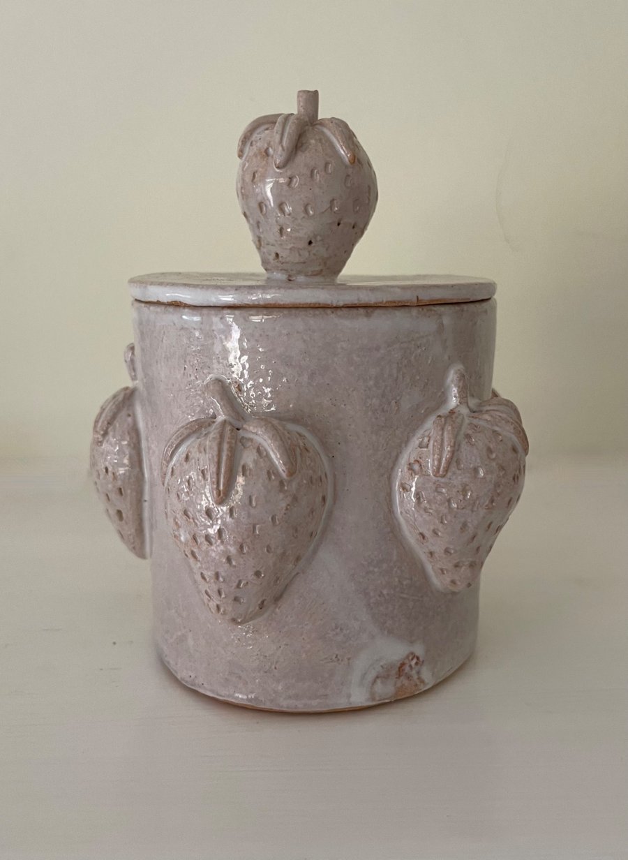 Strawberry pot