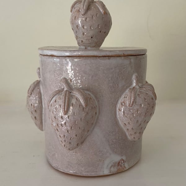 Strawberry pot