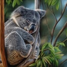 Pastel Portrait of a Koala Bear