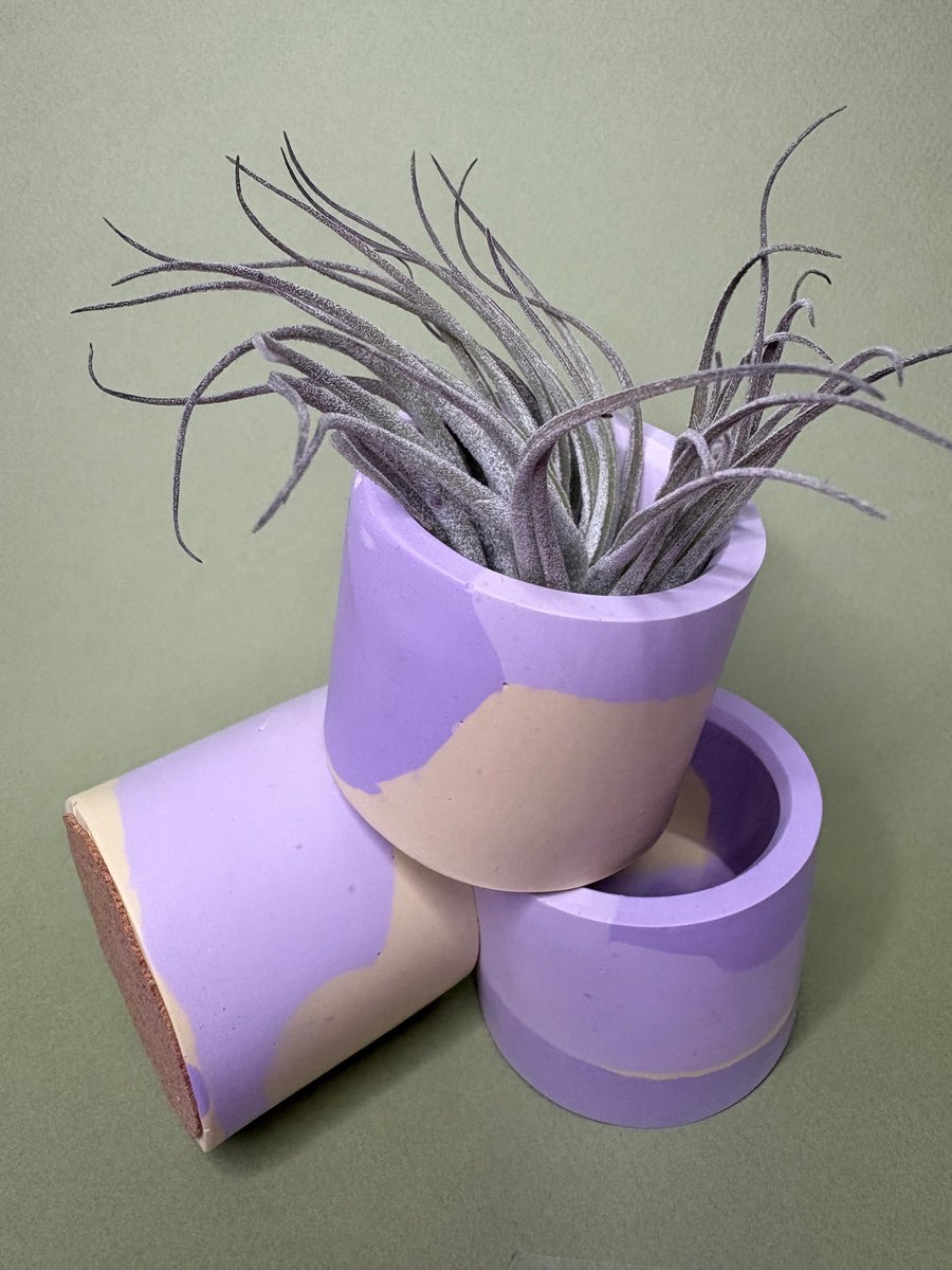 Mini Jesmonite Pot Cactus Air Plant Lemon Lavender Colourway 