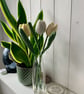 Pastel tulip bouquet, 3 crochet tulip mini bouquet, everlasting flowers - Image 9