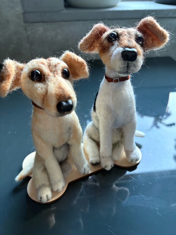 Cute jack russell doggies 