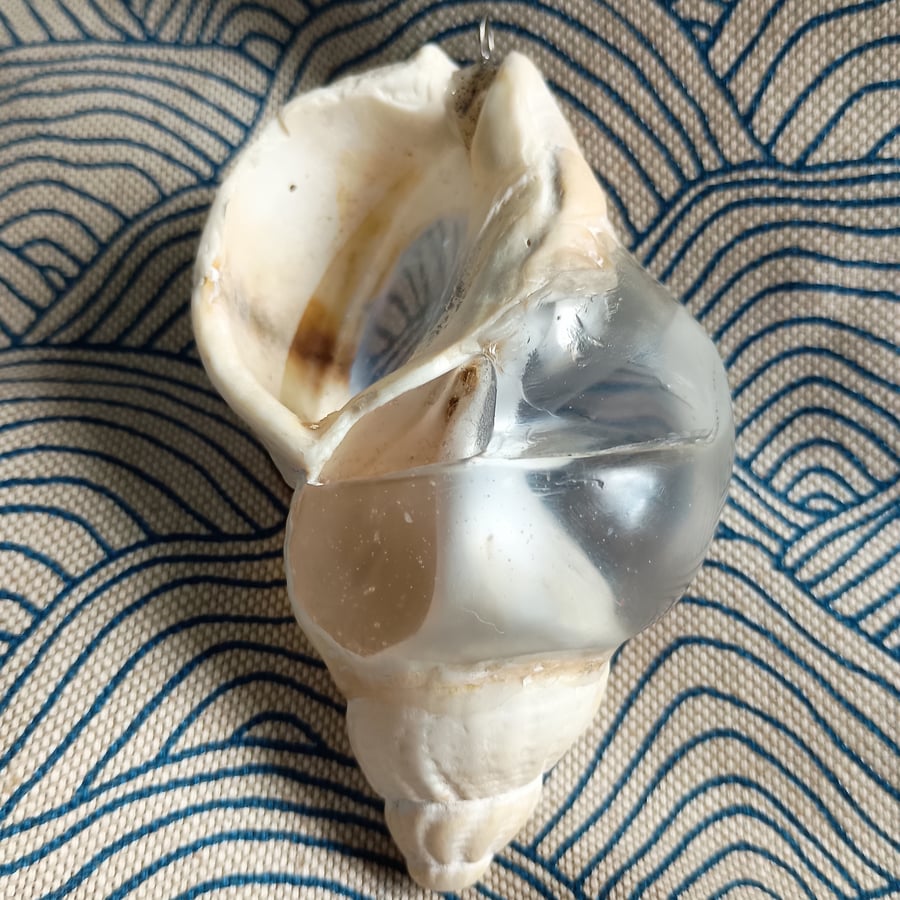 Clear Waters Resin Shell - A Puddle of Ocean Magic, Curious Magic
