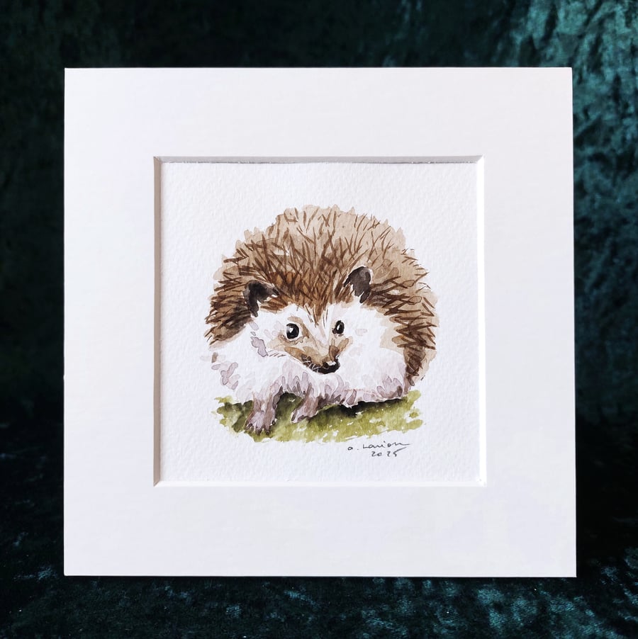 Hedgehog - Original Watercolour Painting