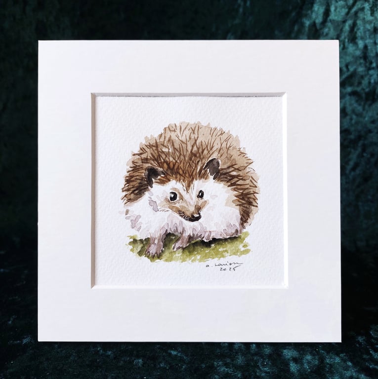 Hedgehog - Original Watercolour Painting