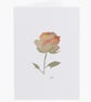 Water Colour Painted Rose Print Greeting Card - Image 1